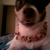 Tootie wearing bling from Stacy!